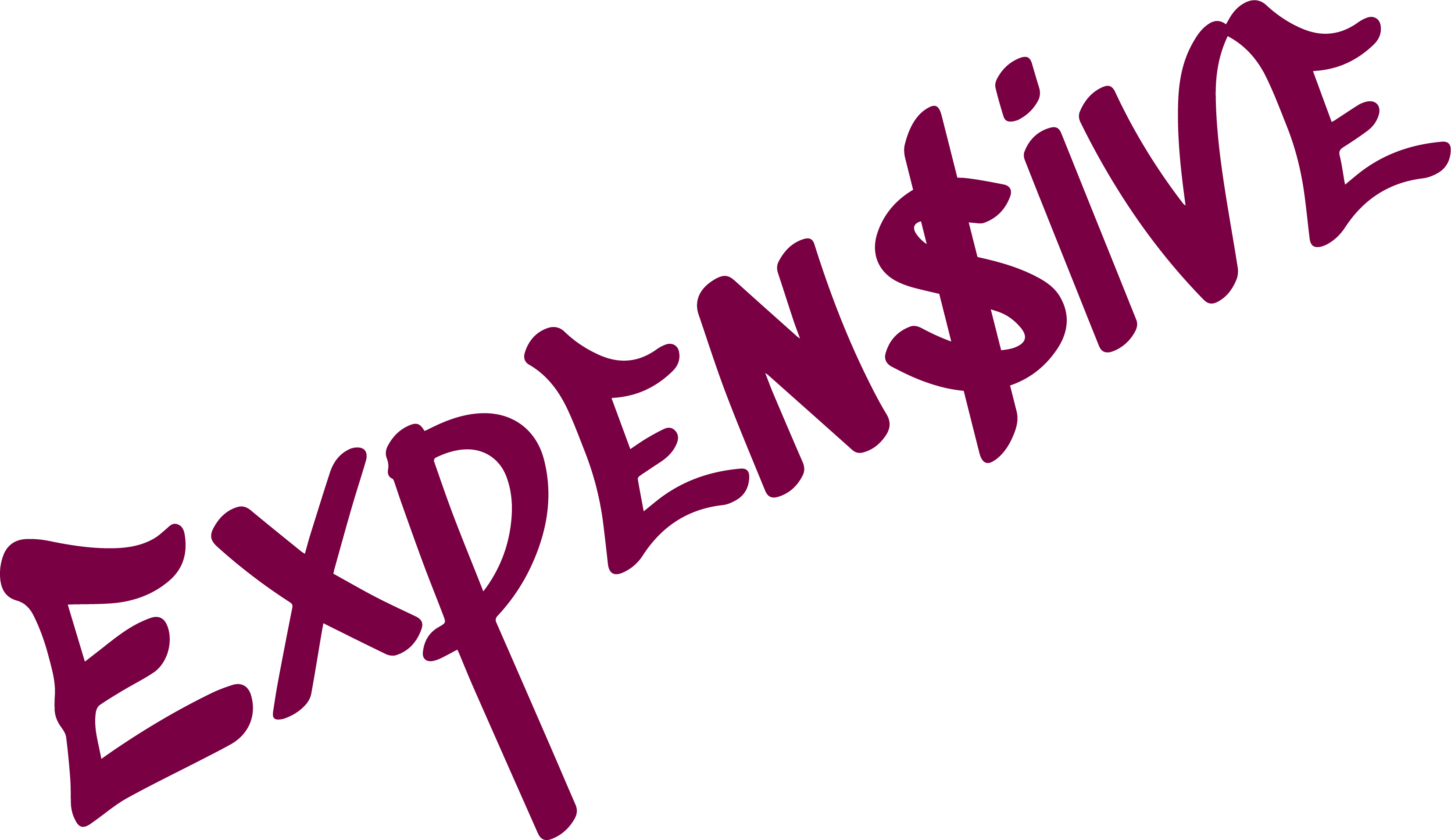 EXPENSIVE